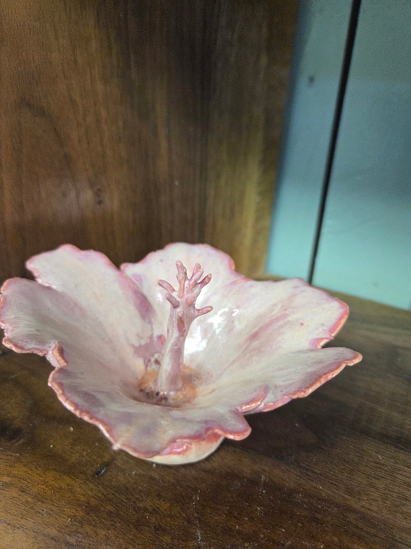 Hibiscus Flower