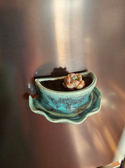 July 17 - Fridge Planters (Bring a Friend Friday!)