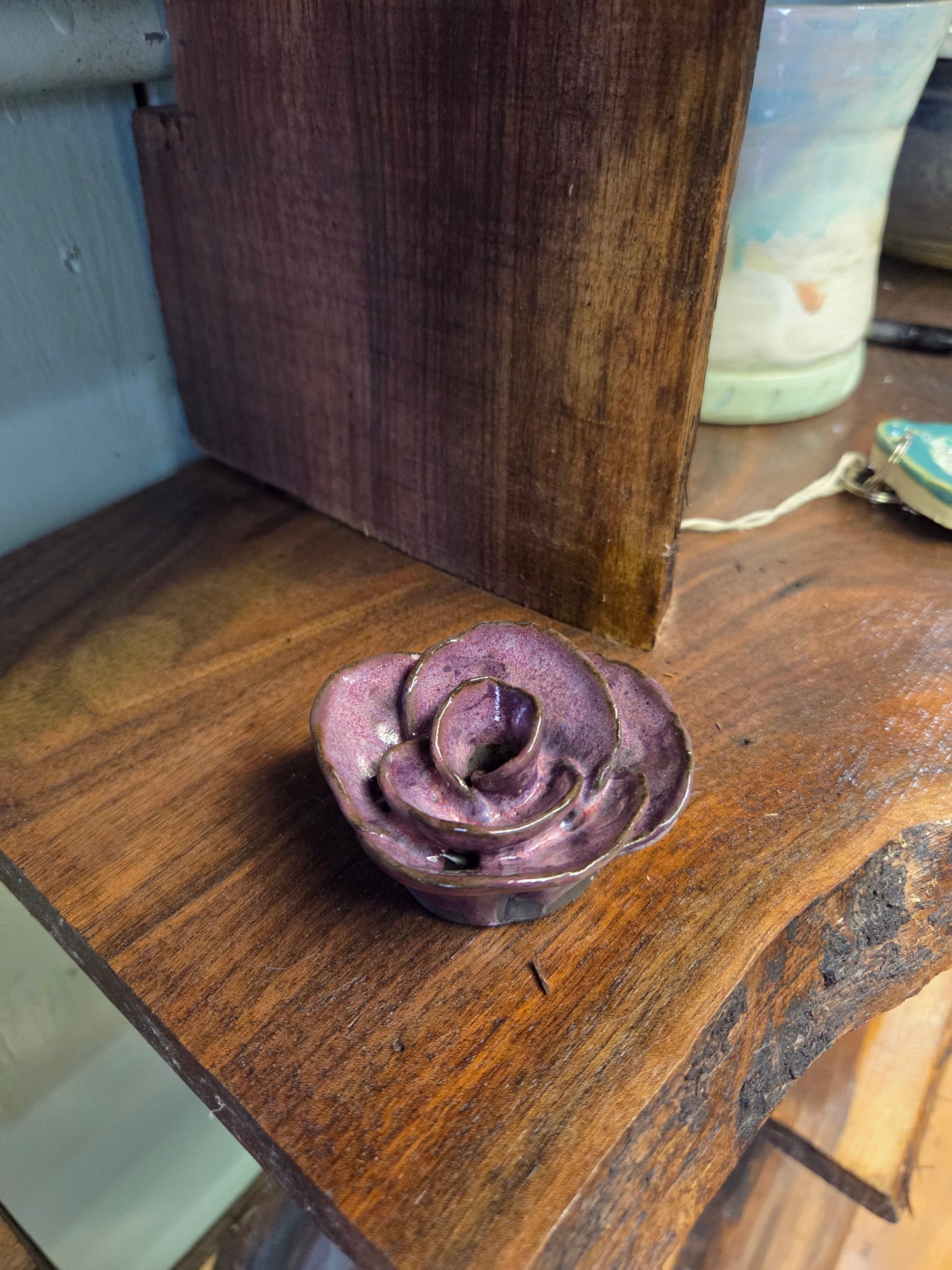 Plum Rose