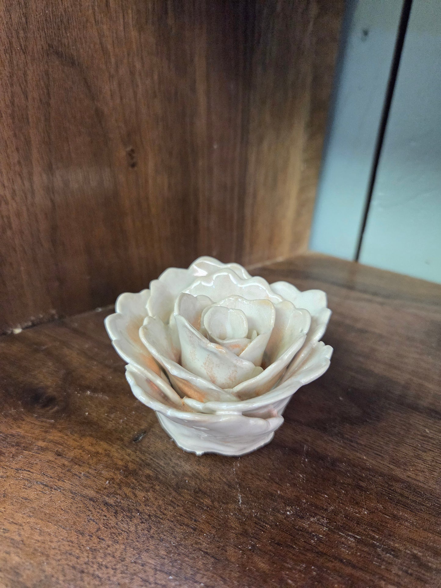 White Rose